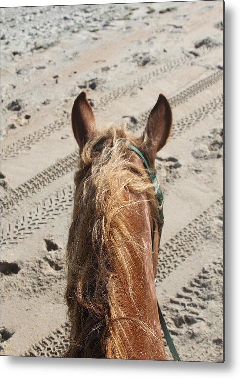 Horse Metal Print featuring the photograph Jac's Ears 2 by Cathy Lindsey