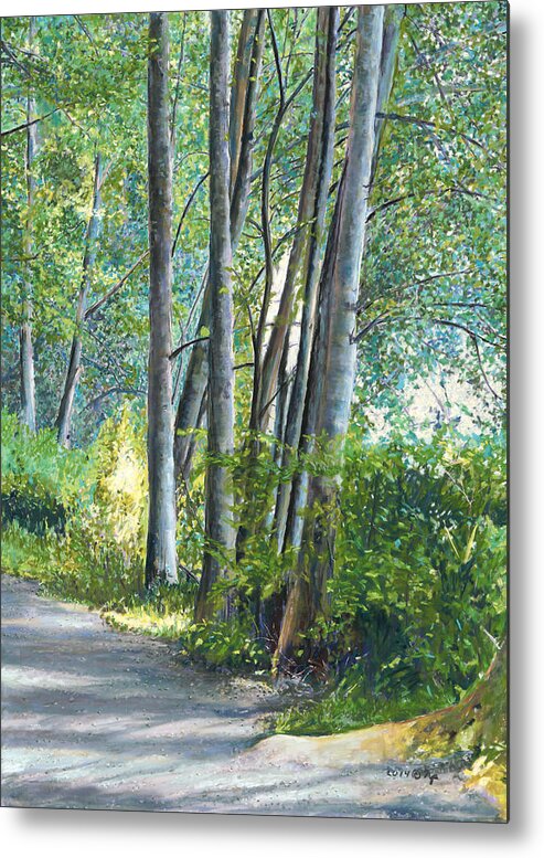 Birdseye Art Studio Metal Print featuring the painting Lake Padden Series - Kathleen Keller Memorial Bench by Nick Payne