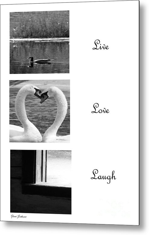 Live Love Laugh Metal Print featuring the photograph Live Love Laugh by Yumi Johnson