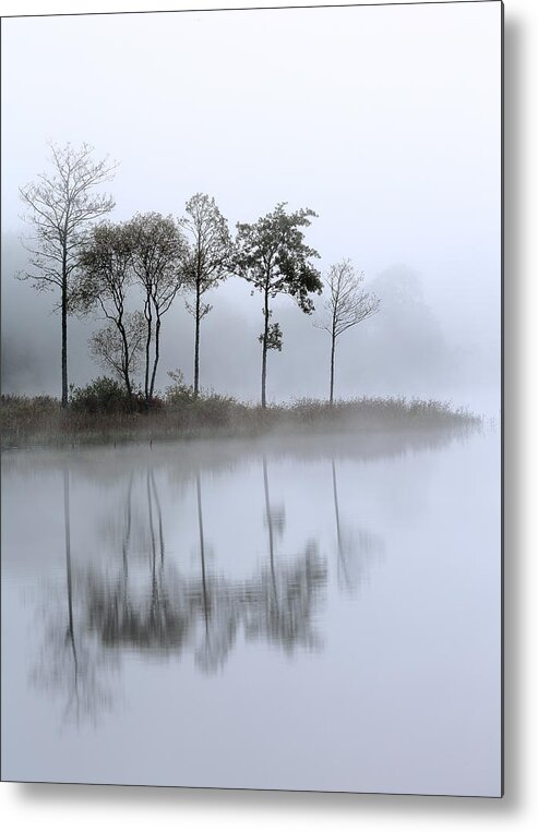 Loch Ard Metal Print featuring the photograph Loch Ard trees in the mist by Grant Glendinning