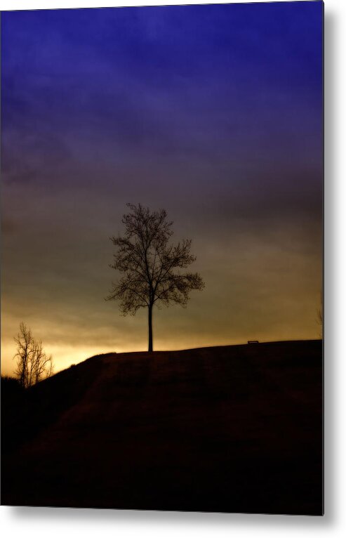 Single Tree Metal Print featuring the photograph Lonely Tree on Hill by David Zumsteg