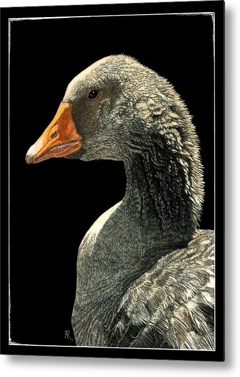 Goose Metal Print featuring the drawing Lucy by Ann Ranlett