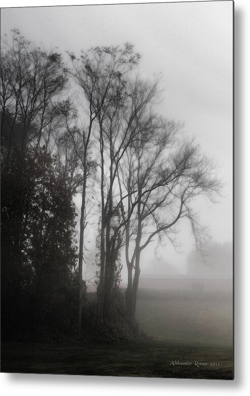 Mist Metal Print featuring the photograph Morning Mist by Aleksander Rotner