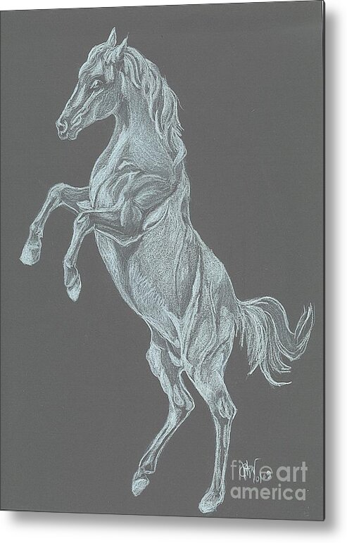 White Horse Metal Print featuring the drawing No Name by Carol Wisniewski
