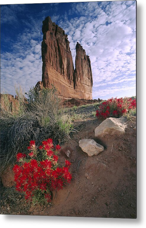 00175001 Metal Print featuring the photograph Paintbrush and Organ Rock by Tim Fitzharris