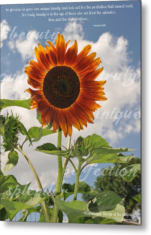 Perfection Metal Print featuring the photograph Perfection in the Eye of the Beholder by Amanda Smith