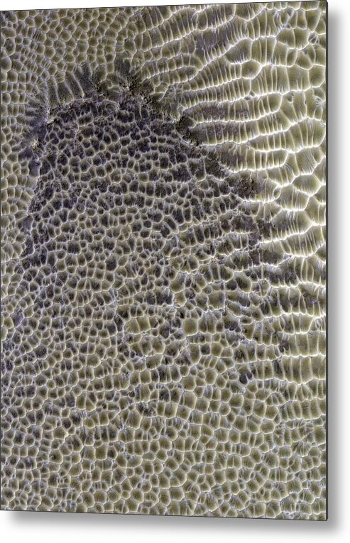Planet Metal Print featuring the photograph Polygonal Dunes On Mars by Nasa