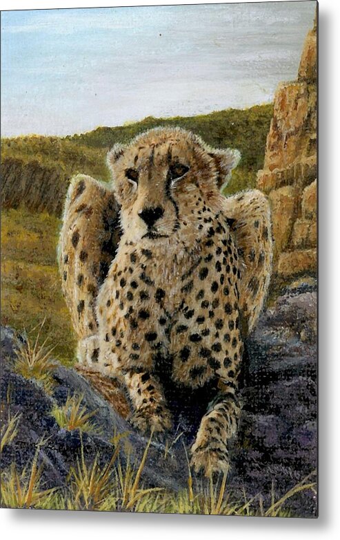 Jaguar Metal Print featuring the painting Purrfect View by Sherryl Lapping