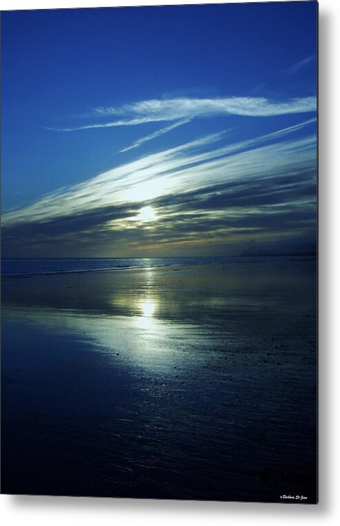 Reflections Metal Print featuring the photograph Reflections by Barbara St Jean