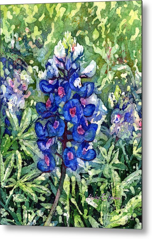 Bluebonnet Metal Print featuring the painting Rhapsody in Blue by Hailey E Herrera