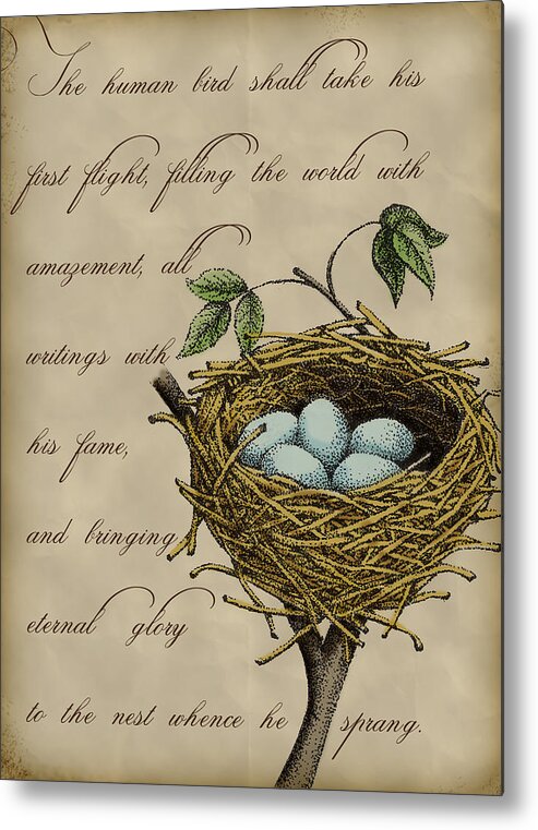 Nest Metal Print featuring the digital art Robin's Nest by Christy Beckwith