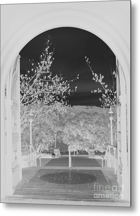 Culinary Institute Of America Metal Print featuring the photograph Shades of Grey by Carol Lynn Coronios