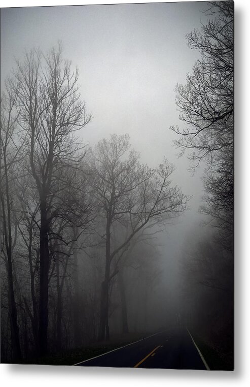 Skyline Drive Fog Metal Print featuring the photograph Skyline Drive in Fog by Greg Reed