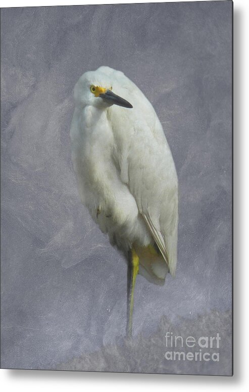 egretta Thula Metal Print featuring the digital art Snowy Egret by Deborah Smith