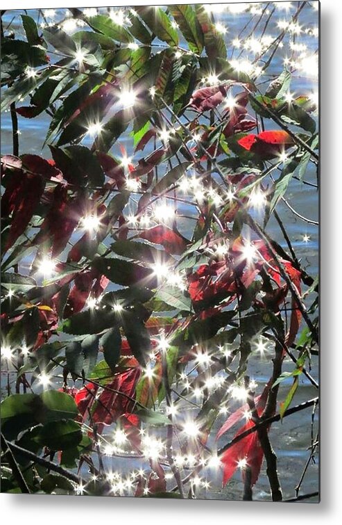 Water Metal Print featuring the photograph Sparkles by Renee Michelle Wenker