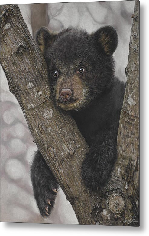 Bear Metal Print featuring the painting The Dilemma by Terry Kirkland Cook