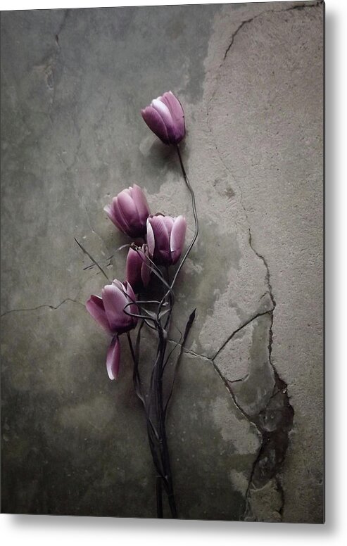 Flower Metal Print featuring the photograph The Tulip by Kahar Lagaa