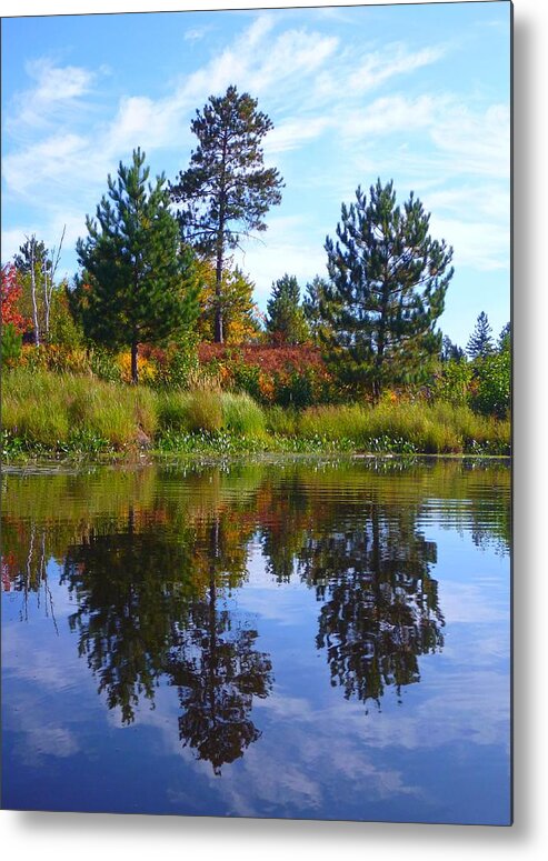 Trees Metal Print featuring the photograph Tree Sisters by Gigi Dequanne