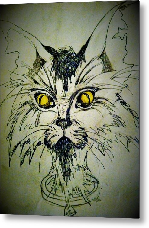 Stray Cat Metal Print featuring the drawing Tsimos Cat by Alexandria Weaselwise Busen