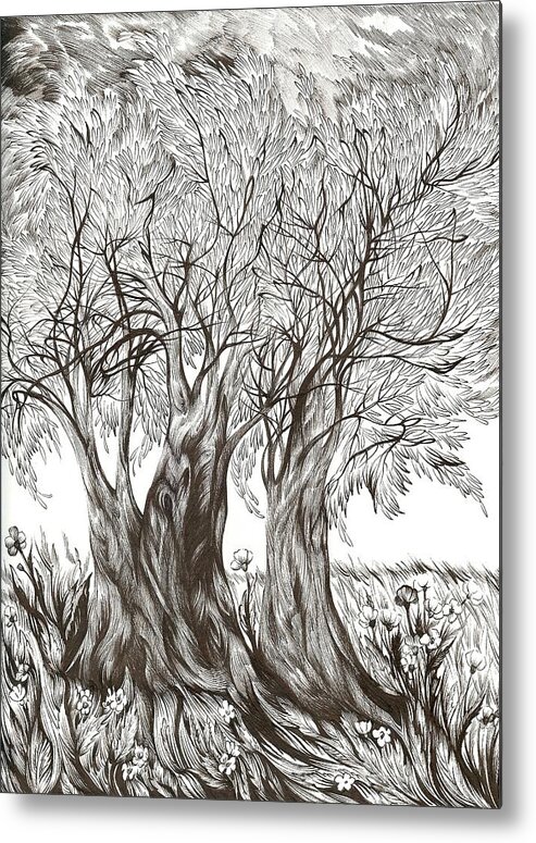 Pen And Ink Metal Print featuring the drawing Tuscany Olives by Anna Duyunova
