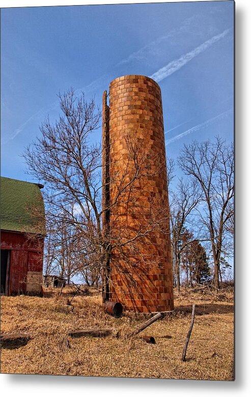Landscape Metal Print featuring the photograph Two Trees And A Silo by Tom Druin