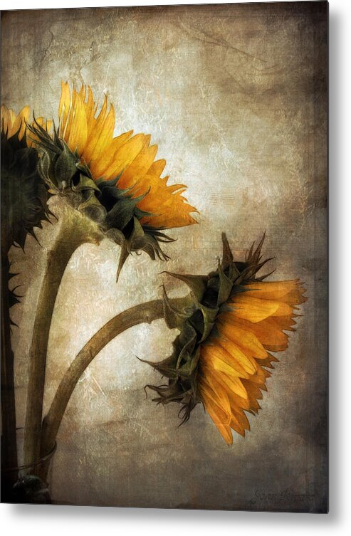 Sunflowers Metal Print featuring the photograph Vintage Sunflowers by John Rivera