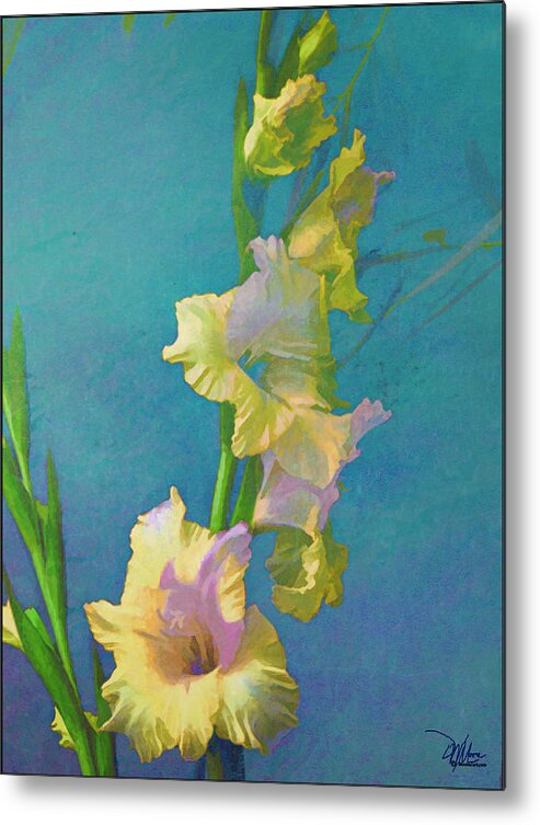 Nature Metal Print featuring the painting Watercolor Study of My Garden Gladiolas by Douglas MooreZart