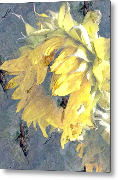 Yellow Metal Print featuring the photograph Yellow Fading Flower by Patricia Januszkiewicz