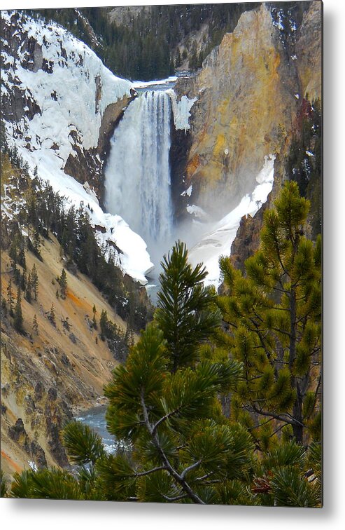 Yellowstone Metal Print featuring the photograph Yellowstone Lower Falls in Spring by Michele Myers