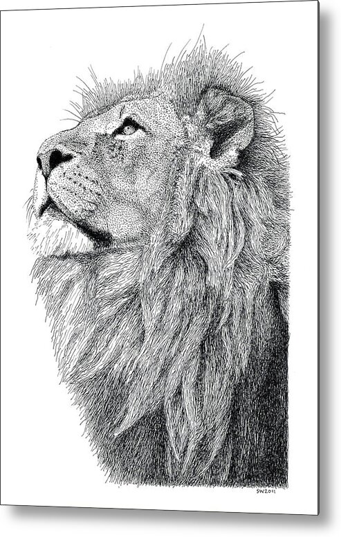 Lion Metal Print featuring the drawing Lion #1 by Scott Woyak