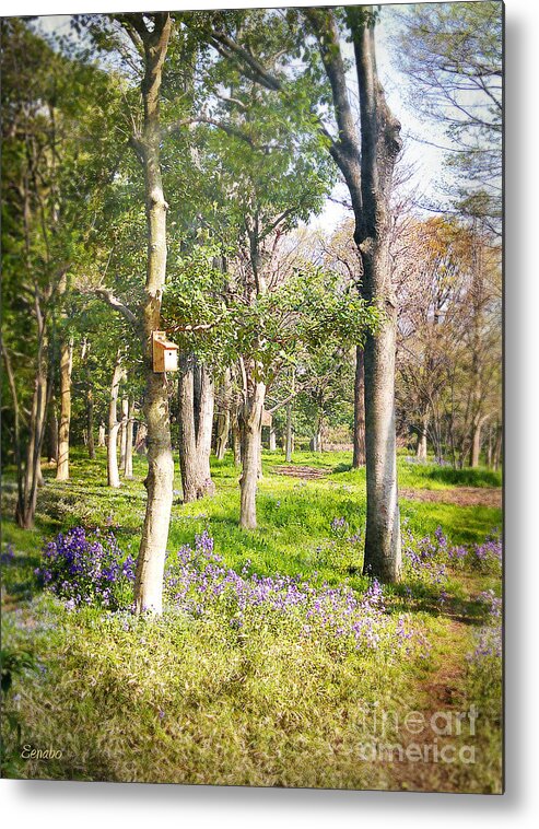 Tree Metal Print featuring the photograph Spring Awakening #1 by Eena Bo
