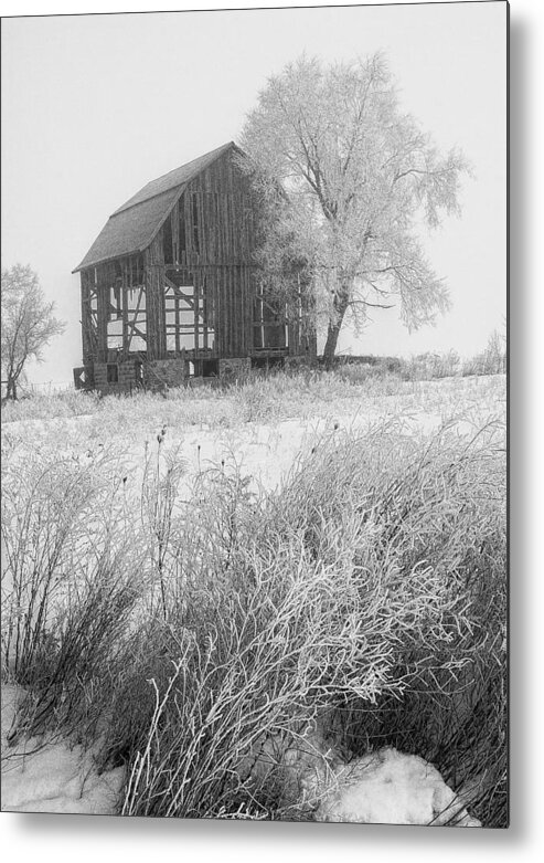 Barn Metal Print featuring the photograph Black and white photo of an old dilapitated barn in an early morning hoar frost by Randall Nyhof