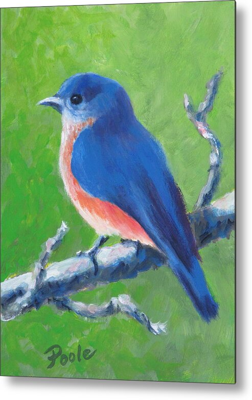 Bird Metal Print featuring the painting Bluebird in Spring by Pamela Poole