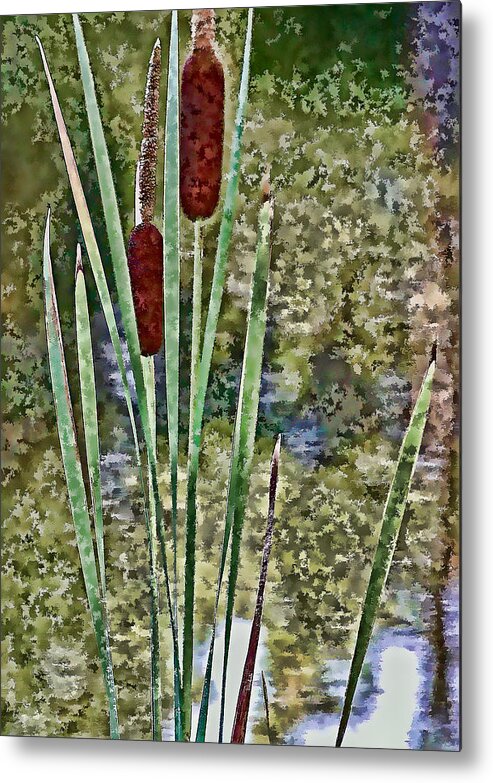 Cattails Metal Print featuring the photograph Cattails Along the Pond by Don Schwartz