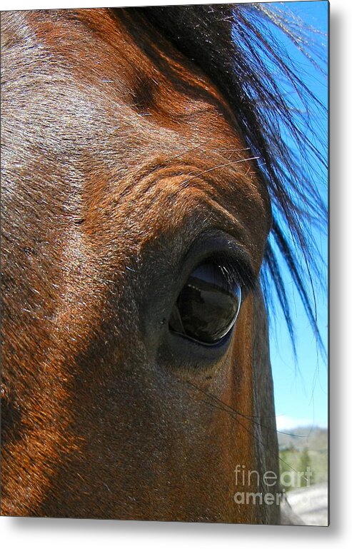 Eye Metal Print featuring the photograph Gentle Soul by KD Johnson