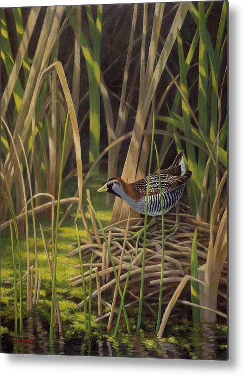 Wildlife Metal Print featuring the painting In the Realm of the Sora by Jon Janosik
