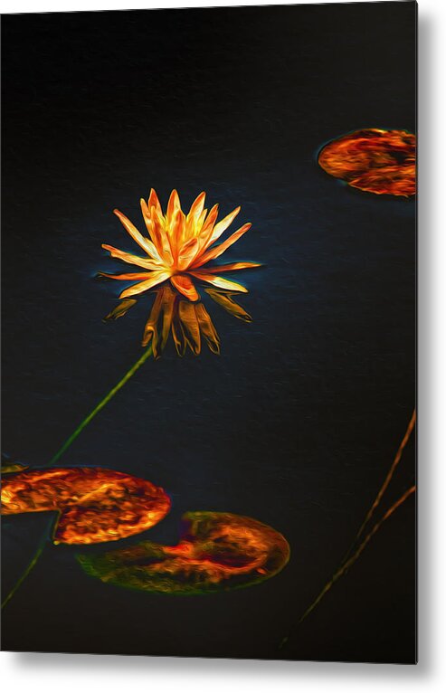 Lilypads Metal Print featuring the photograph Lily Pads on Midnight Black by Bill and Linda Tiepelman