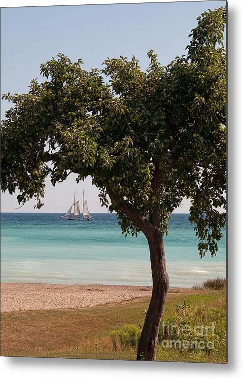 Schooner Metal Print featuring the photograph Madeline by Terry Doyle