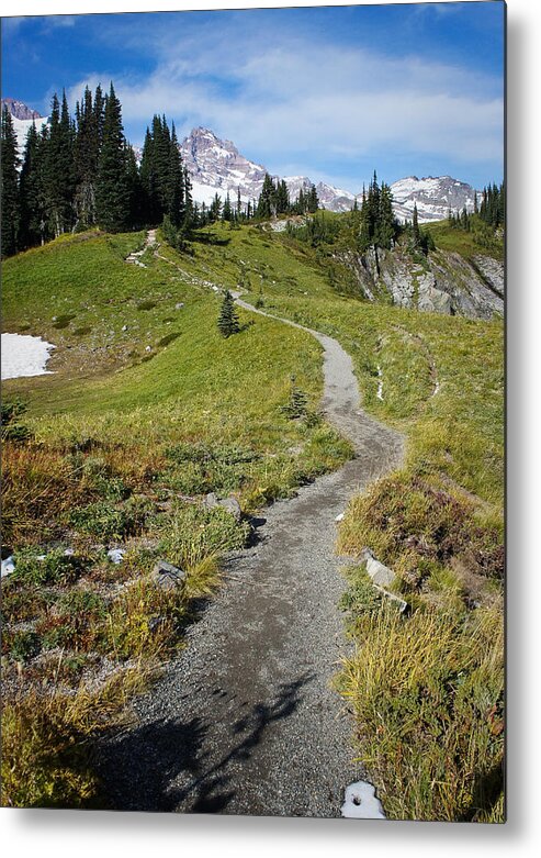 Mount Rainier Metal Print featuring the photograph Mountain Path by Lynn Wohlers