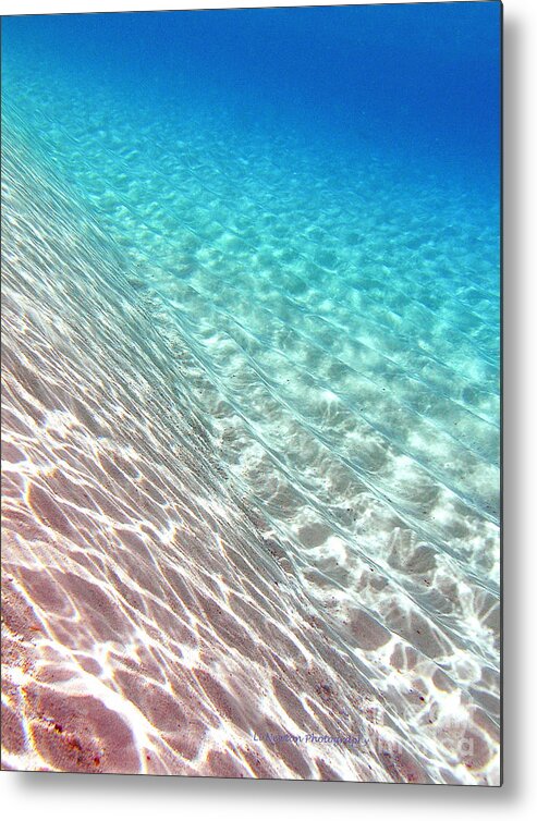 Sea Metal Print featuring the photograph Sea of Tranquility by Li Newton