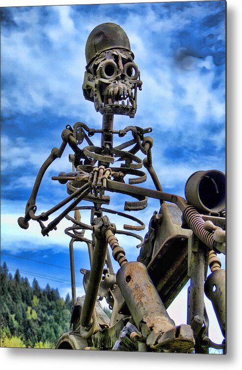 Iron Metal Print featuring the photograph Wild Rider by Ron Roberts