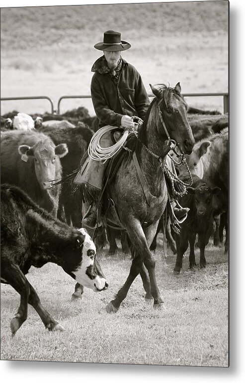 Wine Cup Ranch Metal Print featuring the photograph Wine Cup Cowboy by Diane Bohna