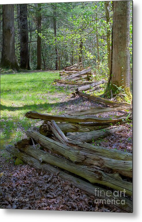 Smoky Mountains Metal Print featuring the photograph Zigzag Fence by Sue Karski