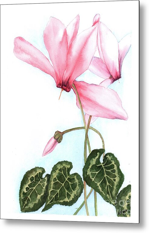 Flowers Metal Print featuring the painting Pink Cyclamen by Hilda Wagner