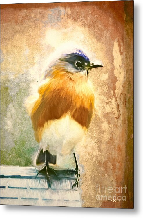 Bluebird Metal Print featuring the painting Strapping Bluebird by Tina LeCour