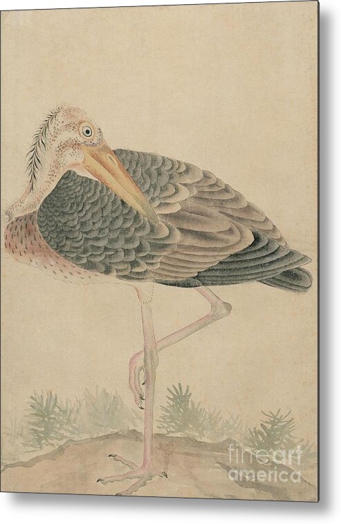  Metal Print featuring the painting Birds of Japan in the 19th century #22 by Celestial Images