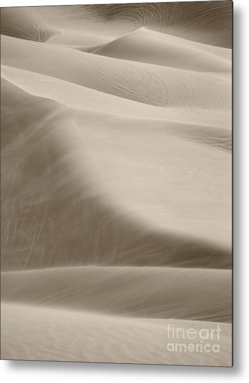 Sand Dunes Metal Print featuring the photograph A Soft Oasis by Suzanne Oesterling