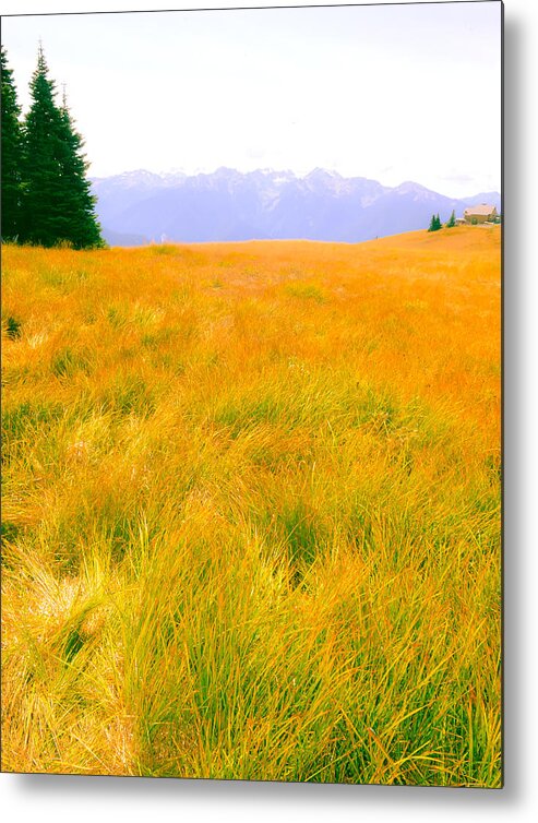 Field Metal Print featuring the photograph Across the Summer Meadow by Ronda Broatch
