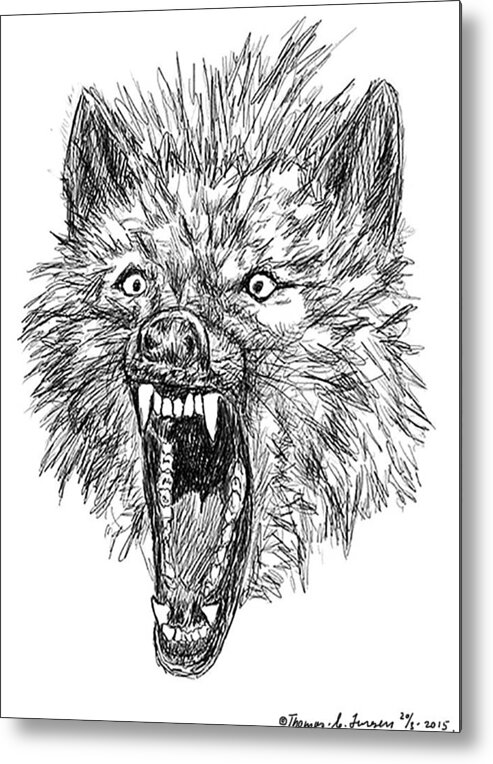 Drawing Illustrator Gray Wolf PNG, Clipart, Angry Wolf Face, Animal,  Animals, Art, Artist Free PNG Download