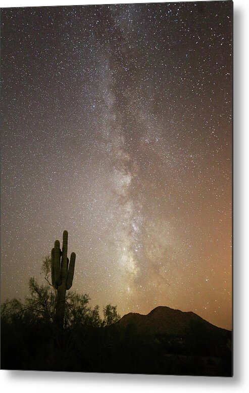Cactus Metal Print featuring the photograph Arizona Night by Jean Clark